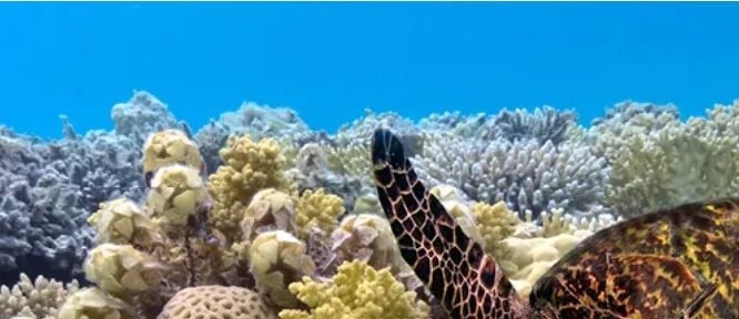 Abstract submission deadline extended! Call for Speakers and Abstracts - open now! Abstract submission deadline extended! Call for Speakers and Abstracts - open now!